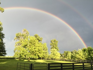 I caught this last evening, looking across my front pasture.  A good reminder of Who is in control.