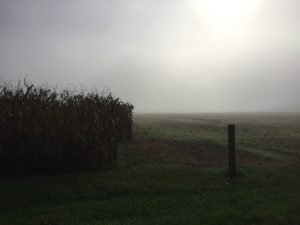 October 3rd - Foggy morning!